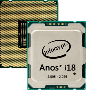 INFOCRYPT 18 ANOS - LOGO.png